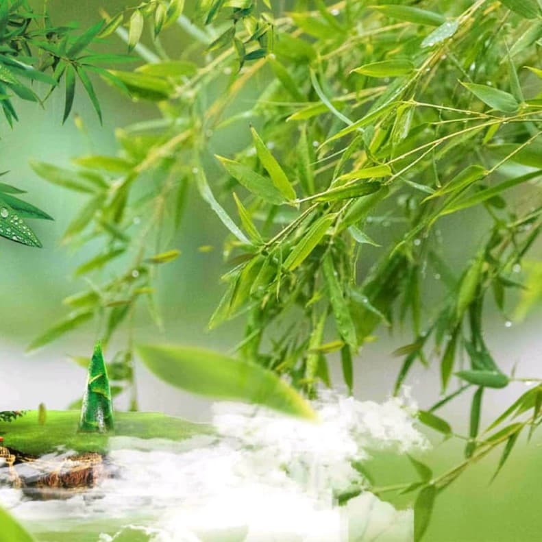 Bamboo Breath Wallpaper - Non Woven (Premium)