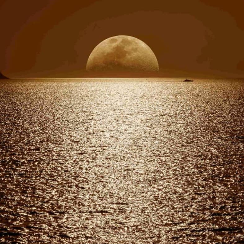 Golden Moonrise Wallpaper - Non Woven (Premium)