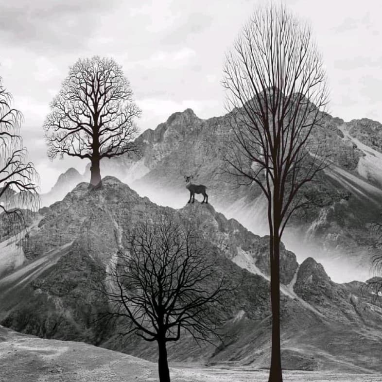 Grey Horizon Wallpaper - Non Woven (Premium)