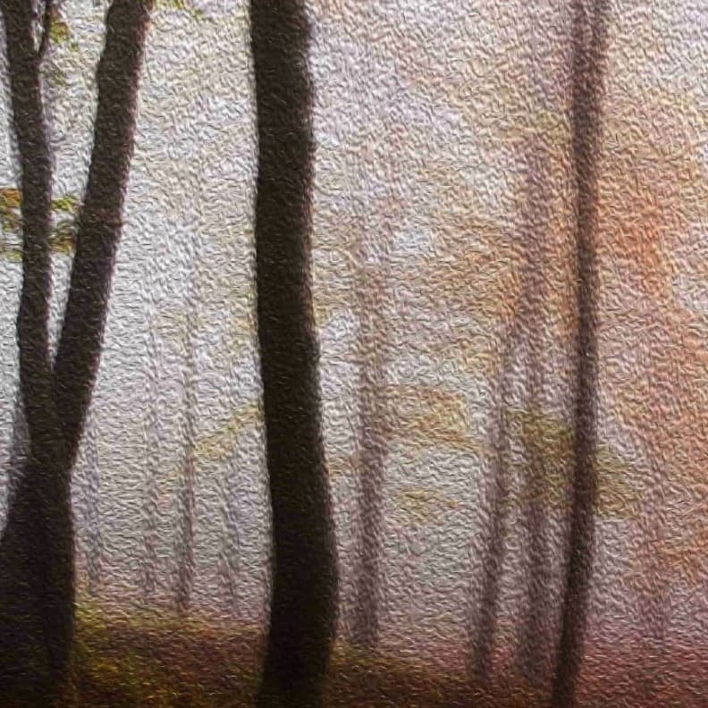 Whispers Among the Trees WAllpaper - Non Woven (Premium)